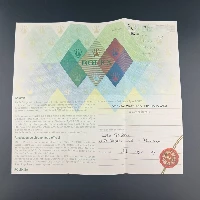 Rolex GMT Master II Nero Rectangular