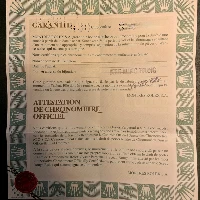 Rolex GMT Master I Pepsi Tritium