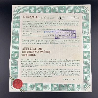 Rolex Datejust 31mm Acciaio & Oro Champagne Computer Brillanti