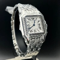 Cartier Panthère Medium Steel New 2026