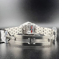 Cartier Panthère Medium Steel New 2026