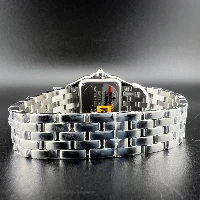 Cartier Panthère Small Steel New 2026