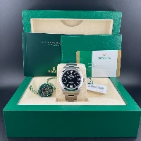 Rolex Explorer I 39mm RRR