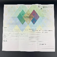 Rolex Oyster Perpetual 31mm Pink 3-6-9 Dial