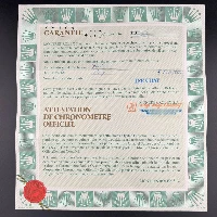 Rolex Lady Datejust 26mm Jubilee Nero Brillanti