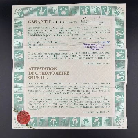 Rolex GMT Master II Pepsi Tritium