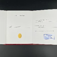 Cartier Santos 100 Medium Steel