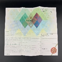 Rolex GMT Master II Coke 