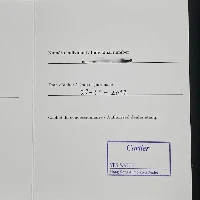 Cartier Santos 100 Medium Steel