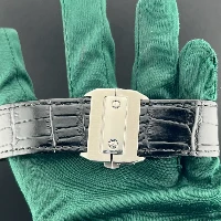 Cartier Santos 100 Steel XLarge