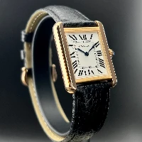 Cartier Tank Solo Acciaio e Oro Rosa