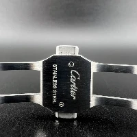 Cartier Santos Acciaio Medium
