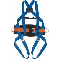 IMBRACATURA ANTICAD. CON CINT.